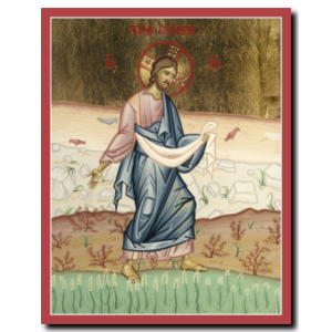 Christ: The Sower