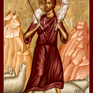 Good Shepherd