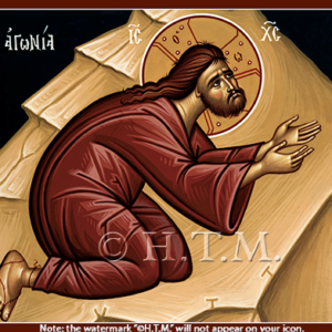 Agony of Christ