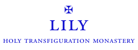 Lily Incense